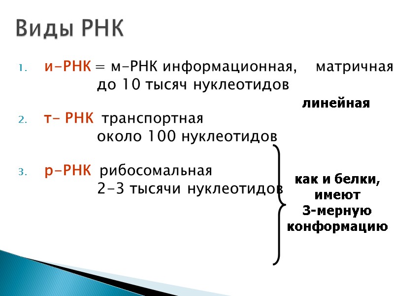 и-РНК = м-РНК информационная,    матричная до 10 тысяч нуклеотидов т- РНК
